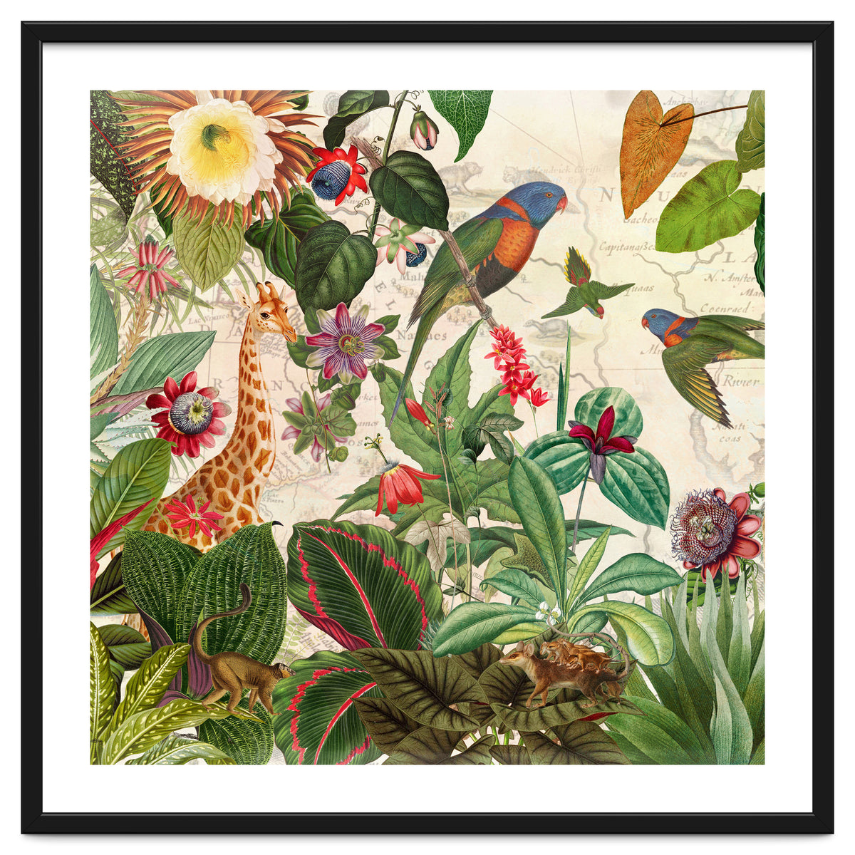 Exotic Lush Jungle And Wild Animals Landscape