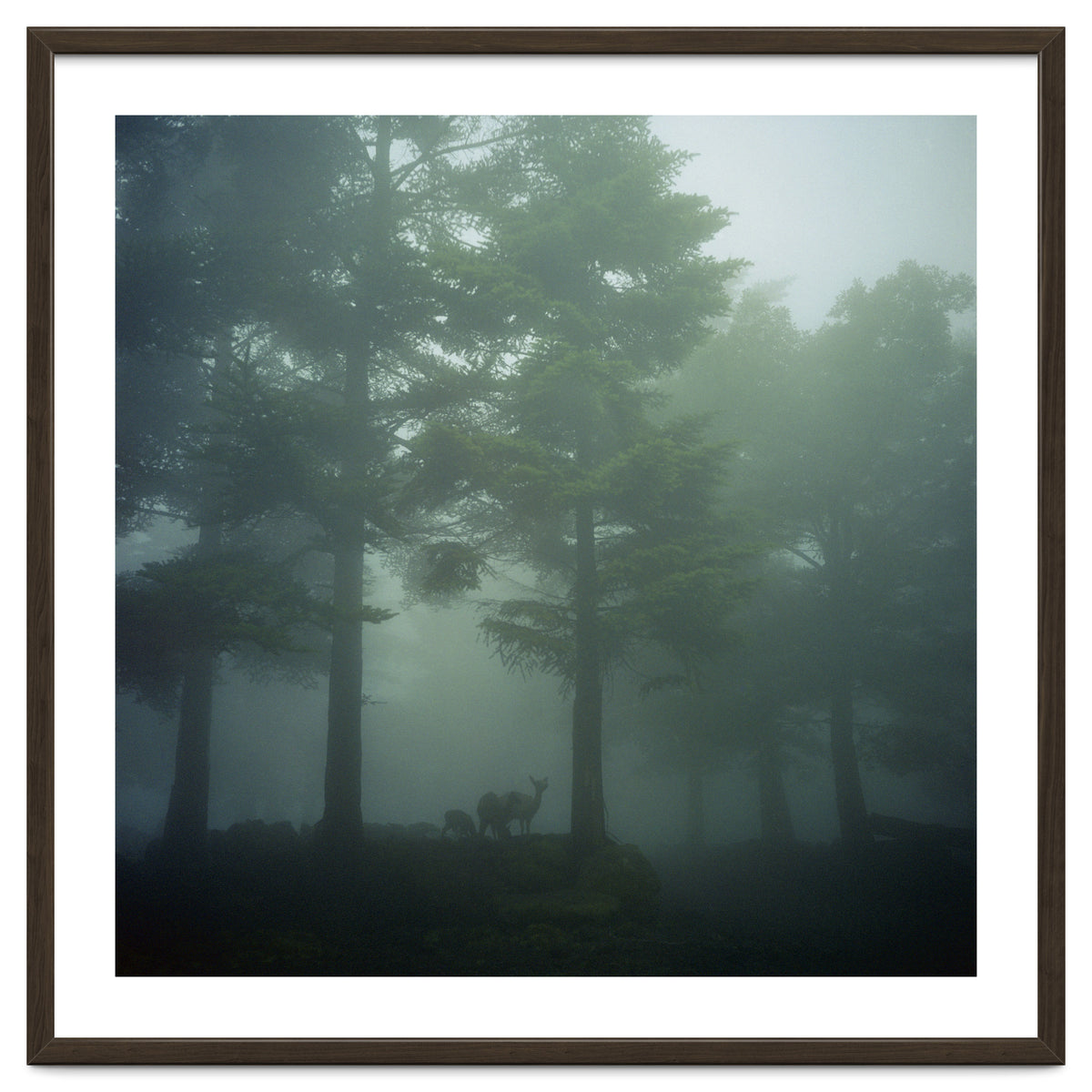 Silence of breath - 10