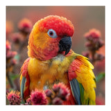 Close Up Of A Sun Conure Parrot With Bright Feathers (Print Only) thumbnail
