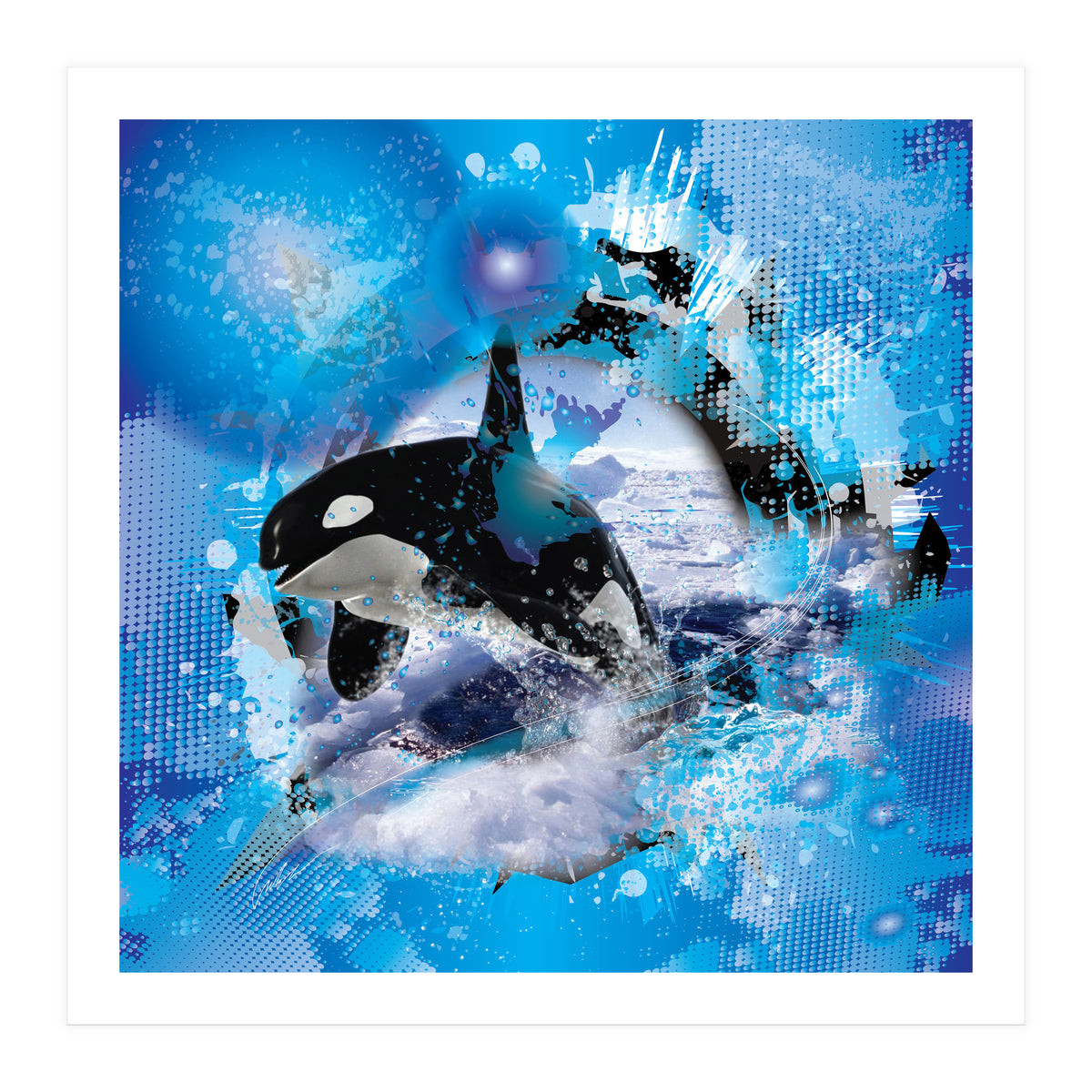 Orca (Print Only)