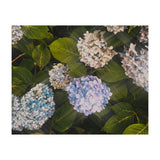 Hydrangeas | Landscape (Print Only) thumbnail