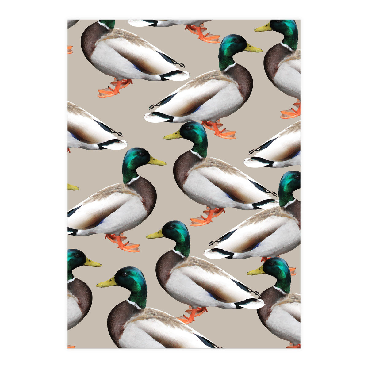 Mallards (Print Only)