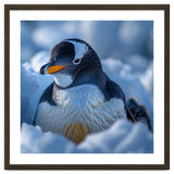 Gentoo Penguin In Its Natural Snowy Habitat thumbnail