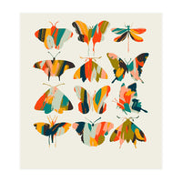 Colorful Butterflies (Print Only)