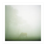 Silence of breath - 09 (Print Only) thumbnail