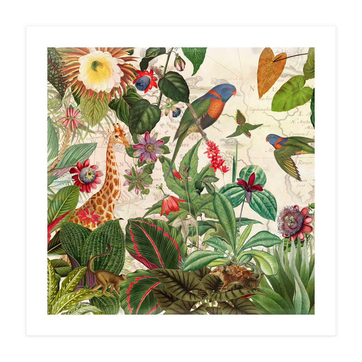 Exotic Lush Jungle And Wild Animals Landscape (Print Only)