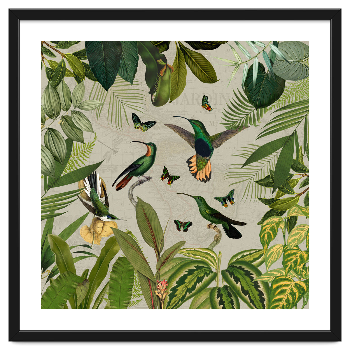 Vintage Exotic Hummingbirds Jungle