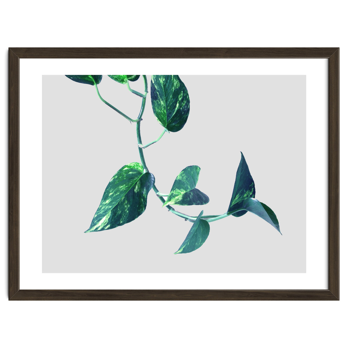 Projection & Emotion