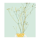 Plant based happyness Herb 2 still life (Print Only) thumbnail