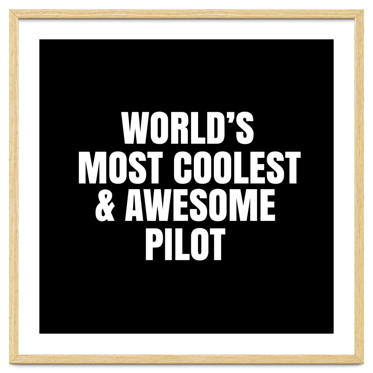 World's most coolest and awesome pilot