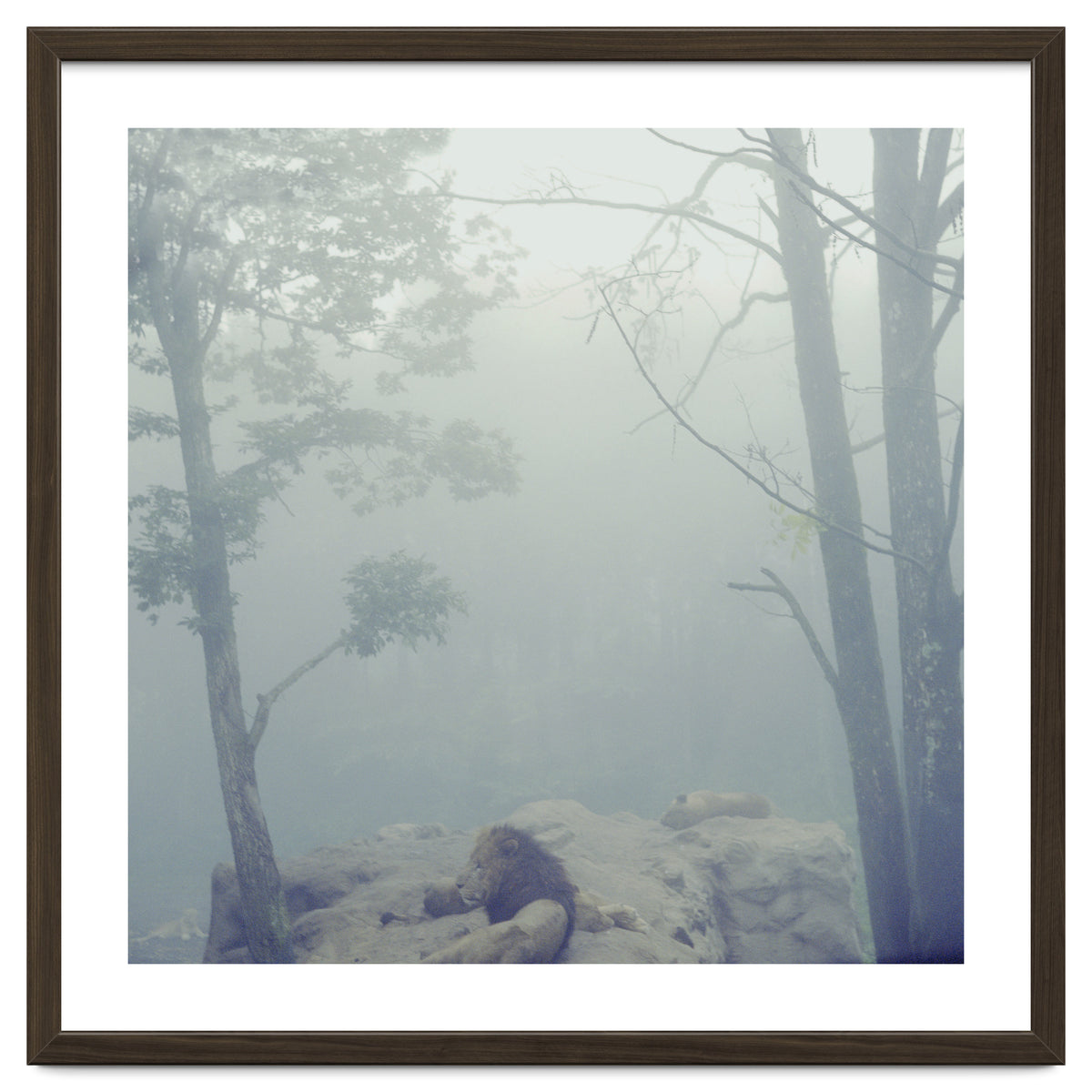 Silence of breath - 02