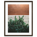 Plant + Copper thumbnail