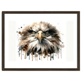 Fierce Bald Eagle Portrait thumbnail