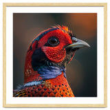 Close Up Pheasant Bird thumbnail