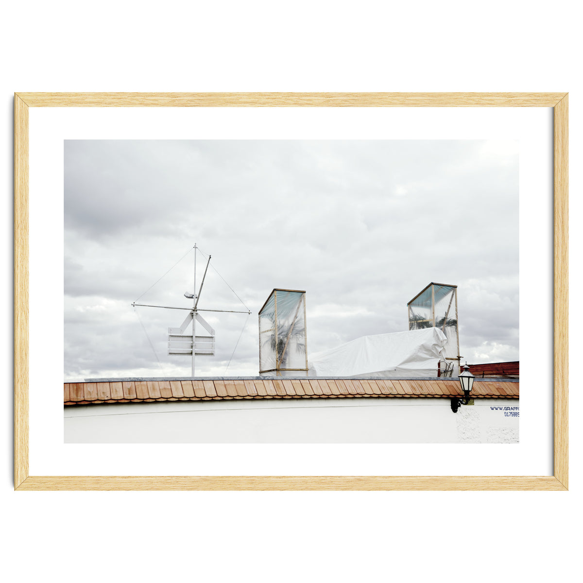 Palm tree waiting for summer