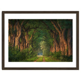 Soft morning light thumbnail