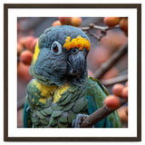 Yellow Headed Amazon Parrot Close Up Portrait thumbnail