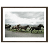 Running horses - Iceland thumbnail