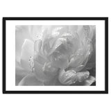 Ethereal Monochromatic Peony Petal Macro thumbnail