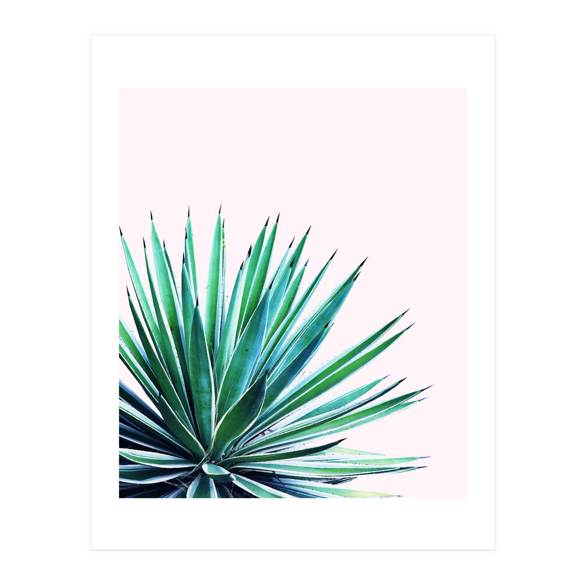 Agave Love #society6 #decor #buyart (Print Only)
