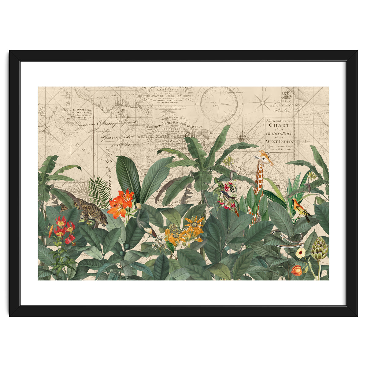 Explore The New World Wild Animals