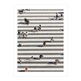 Rain Crossing | Polka Dots Zebra Crossing On The Street | Rain Eclectic Modern Graphic Design (Print Only) thumbnail