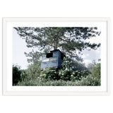 Blue hut on the tree thumbnail