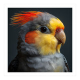 Cockatiel Parrot Closeup Vibrant Feather  (Print Only) thumbnail