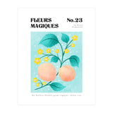 Magical Flowers No.23 Apricot Blossom (Print Only) thumbnail