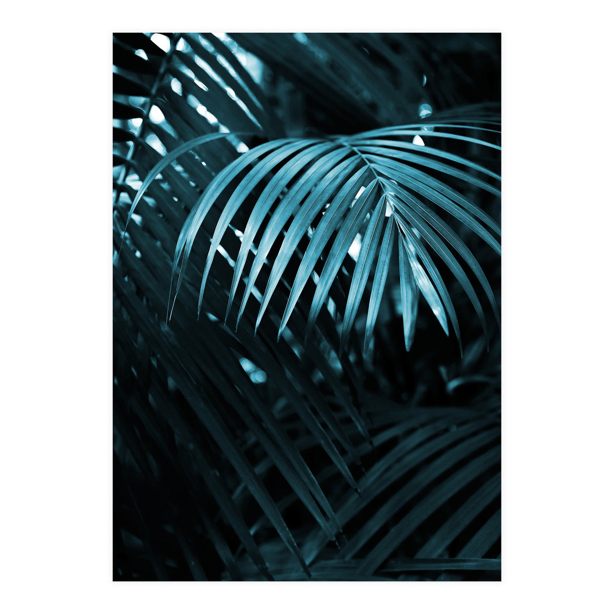 Blue Jungle Palm Ii (Print Only)