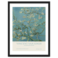 Vincent van Gogh - Almond blossom