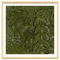 Forest Dense Foliage