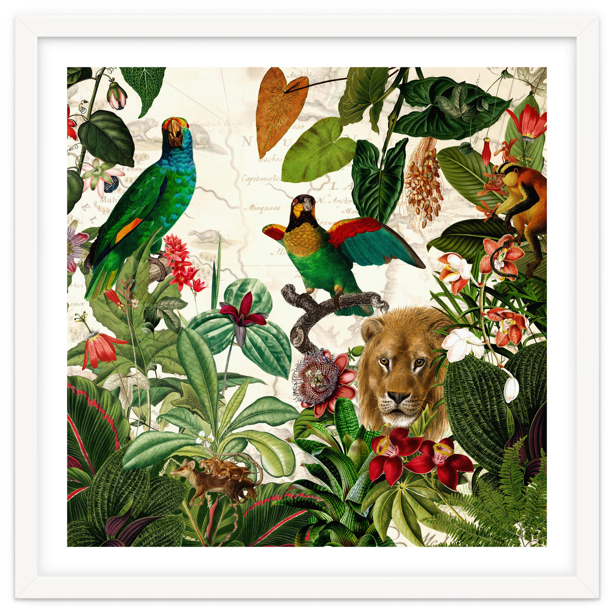 Exotic Lush Jungle And Wild Animals Landscape