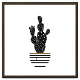 Black Cactus thumbnail
