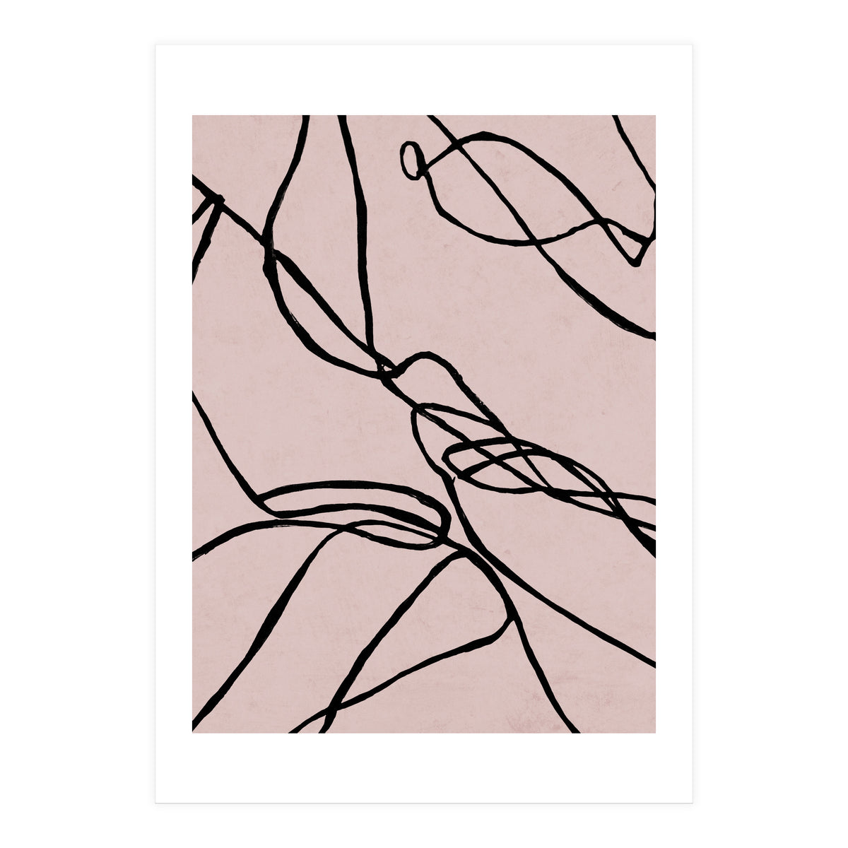 Lines on Rose (Print Only)