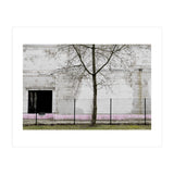A tree in front of the wall (Print Only) thumbnail