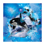 Orca (Print Only) thumbnail