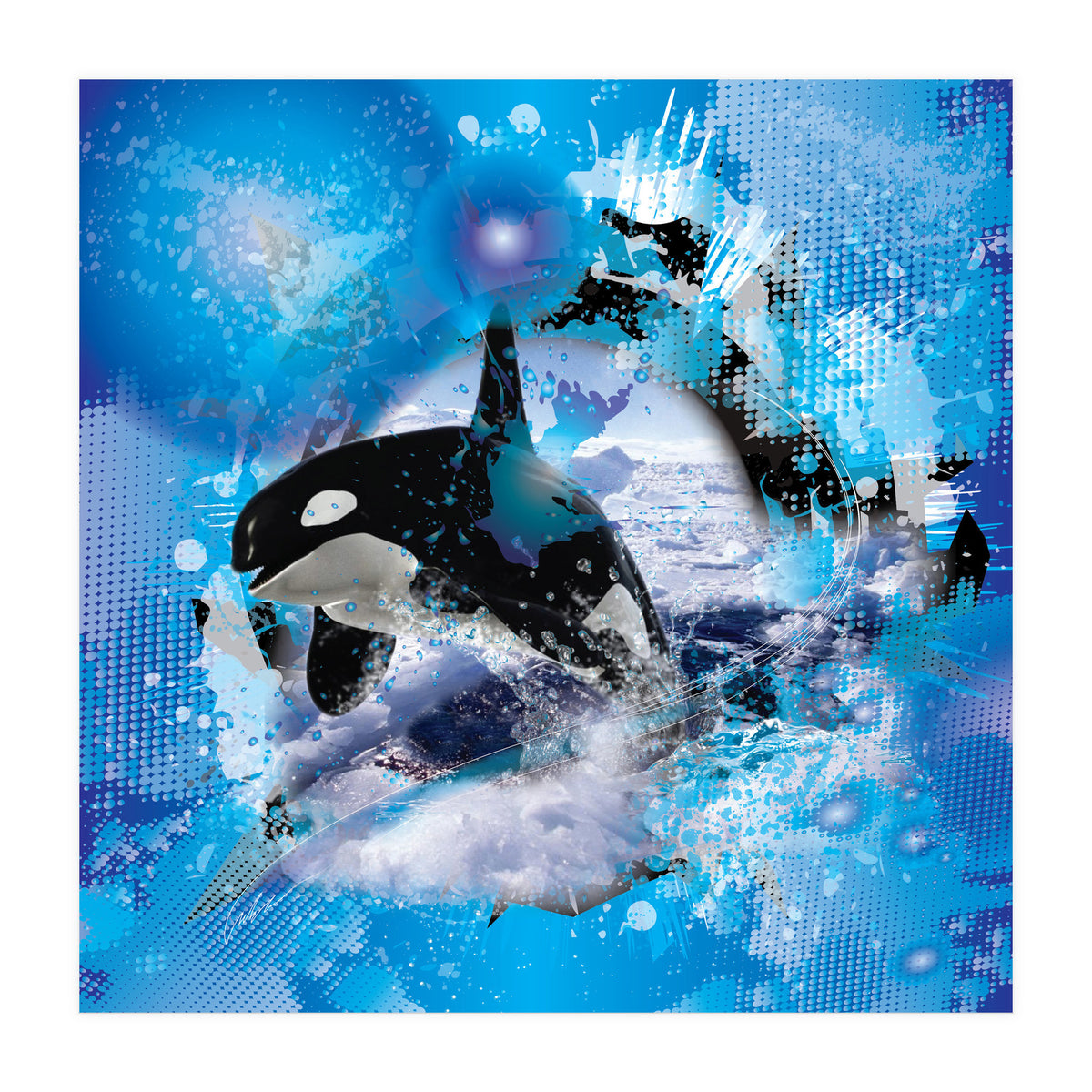 Orca (Print Only)