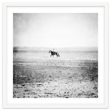 Sea Horse thumbnail