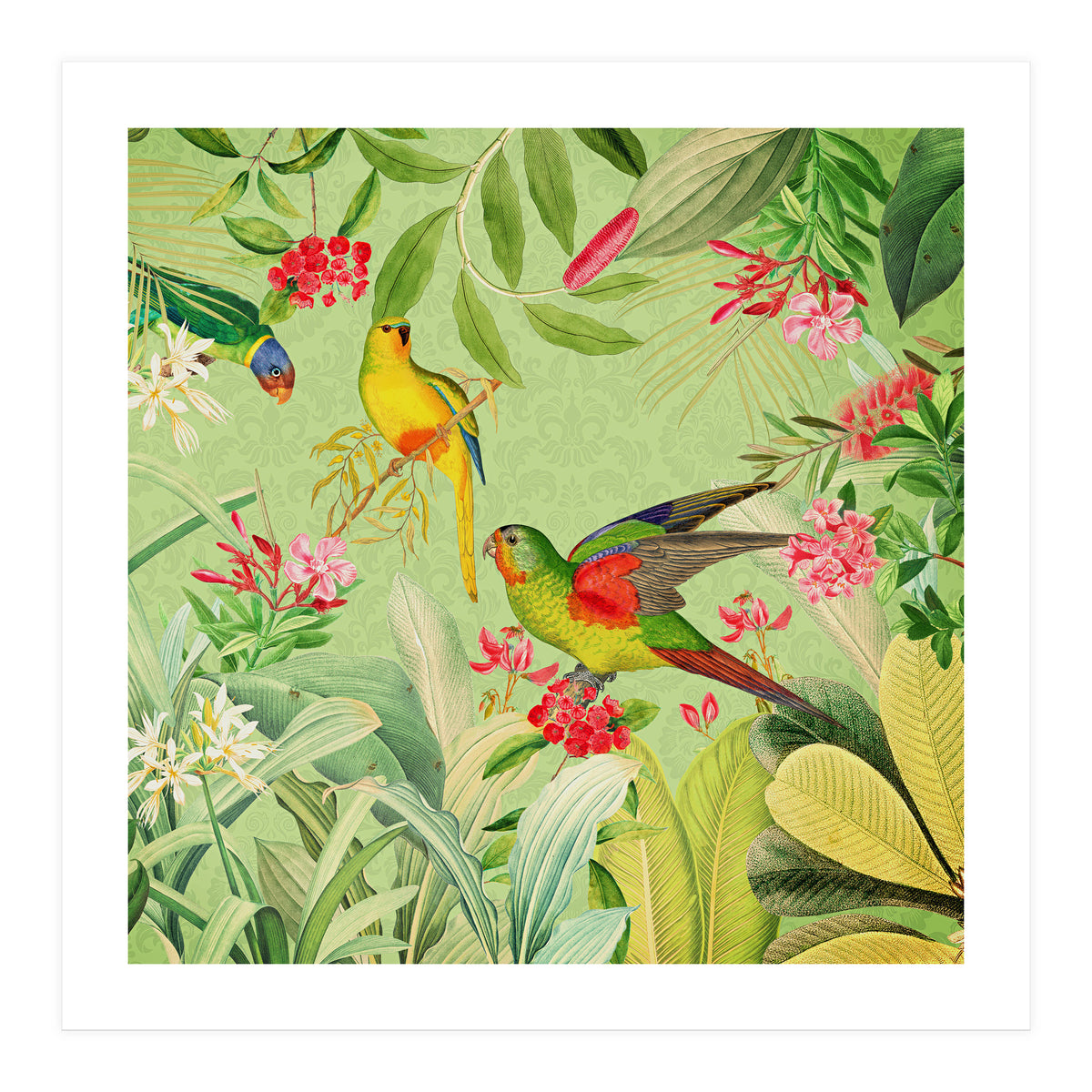 Summer Day Vintage Tropical Jungle (Print Only)