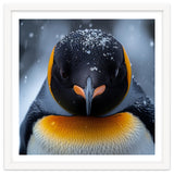 Close Up King Penguin In The Snow thumbnail