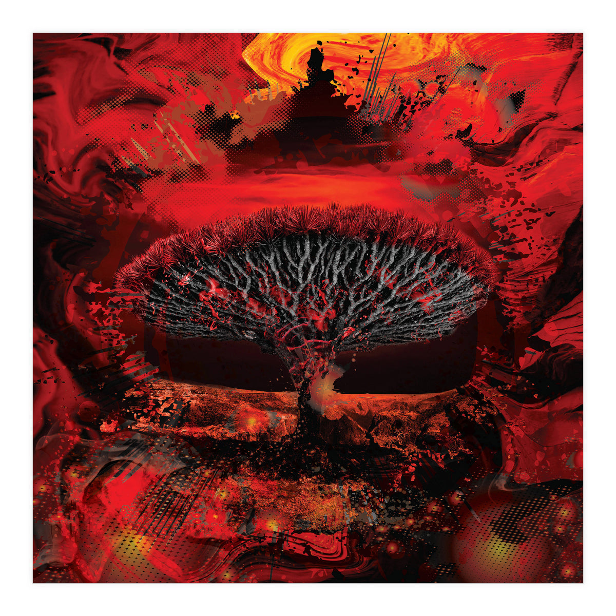 Socotra Dragon Blood tree (Print Only)