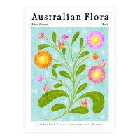 Australian Flora: Straw Flower (Print Only)