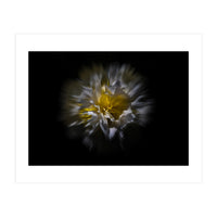 Backyard Flowers No 25 Color Flow Version (Print Only)