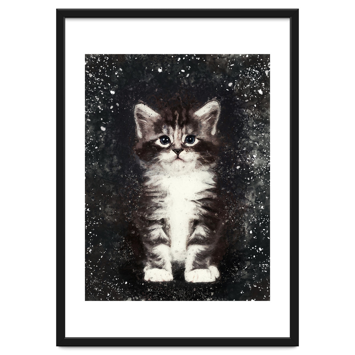 Bicolor Cute Kitten Portrait