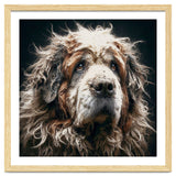 Old Dog 01 thumbnail