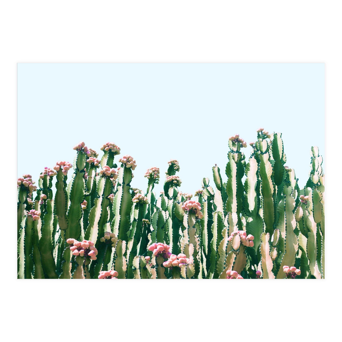 Blush Cactus #society6 #decor #buyart (Print Only)