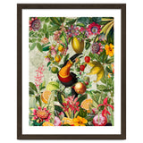 Toucan vintage jungle 1 thumbnail