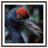 Black Crane Bird Head With Red Crown And Raindrops thumbnail