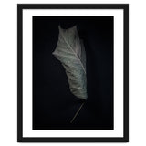 Leaves No 3 Color Version thumbnail